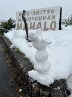 MAHALO　MOKUYOUKAN  雪！！